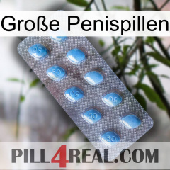 Große Penispillen viagra3